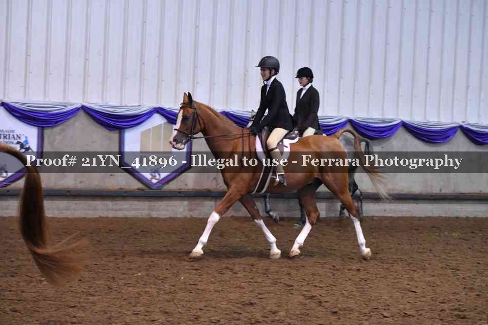 Proof 21YN_41896