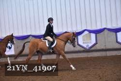 21YN_41907 proof