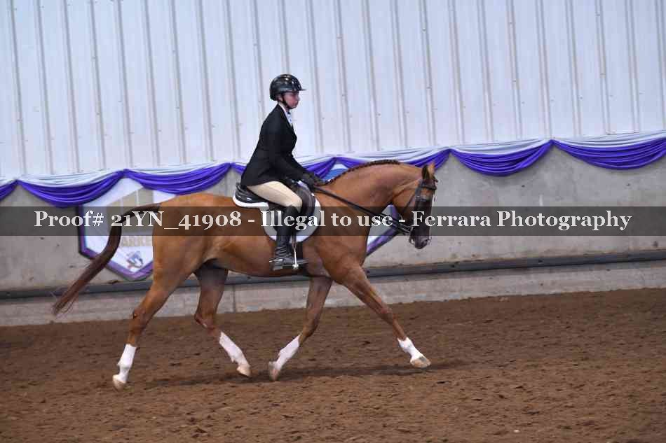 Proof 21YN_41908