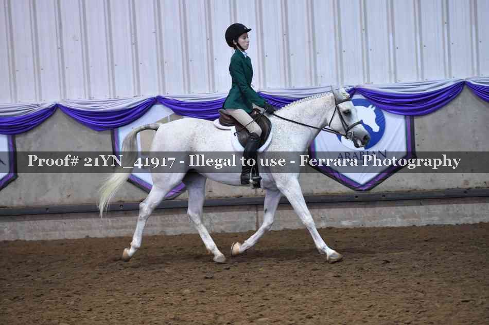 Proof 21YN_41917