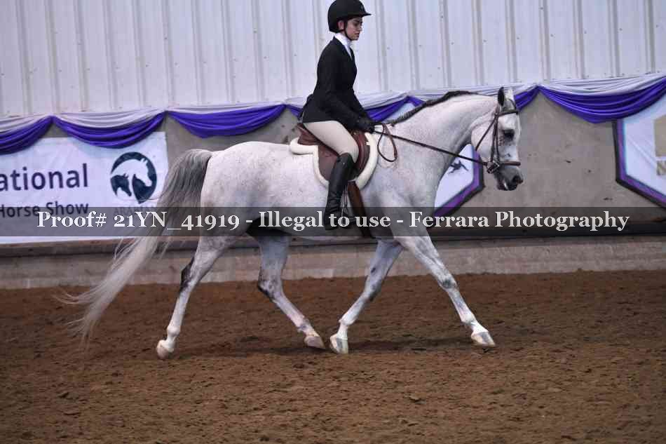 Proof 21YN_41919