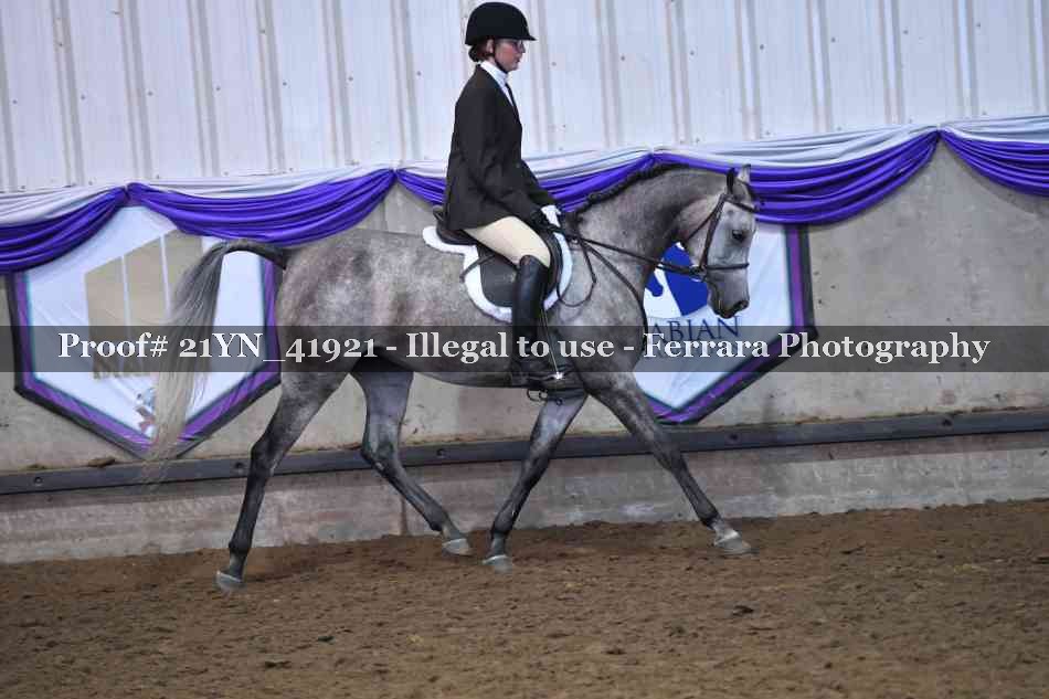 Proof 21YN_41921