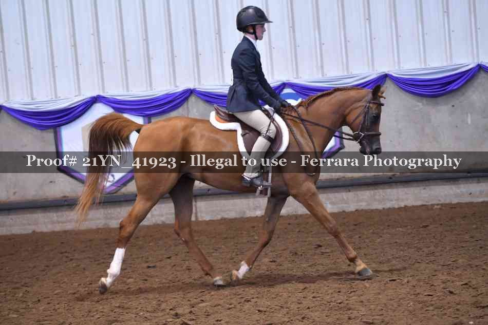 Proof 21YN_41923