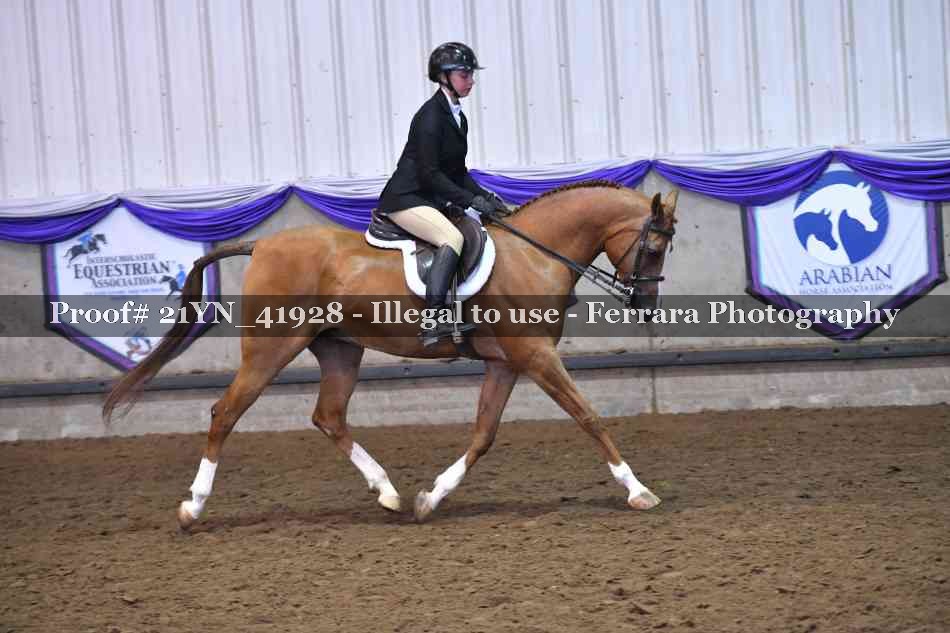 Proof 21YN_41928