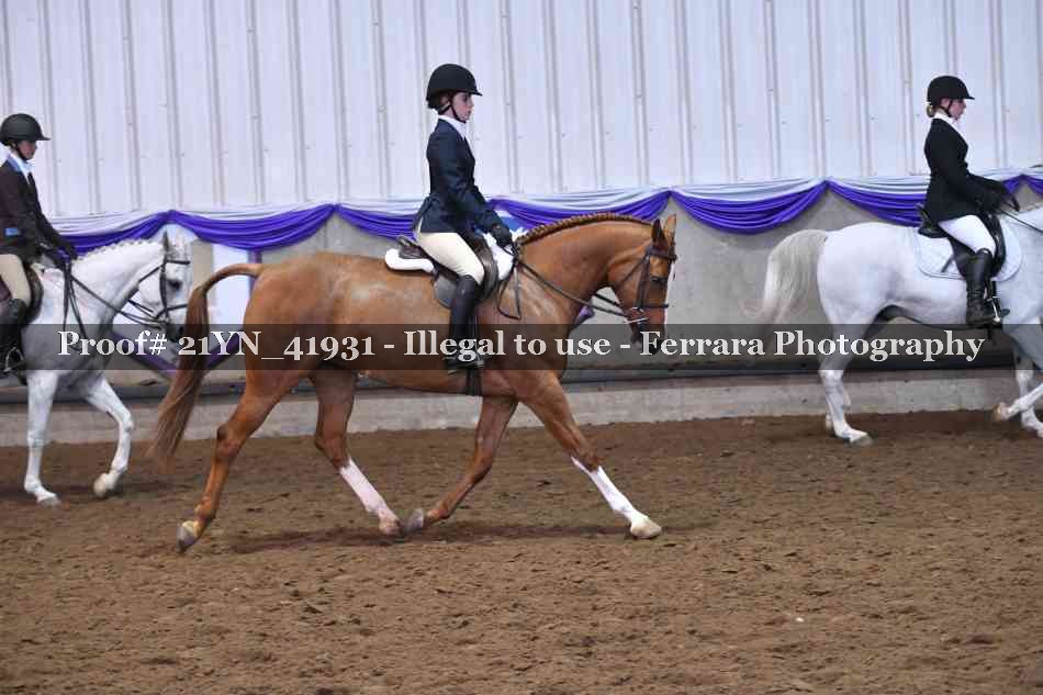 Proof 21YN_41931
