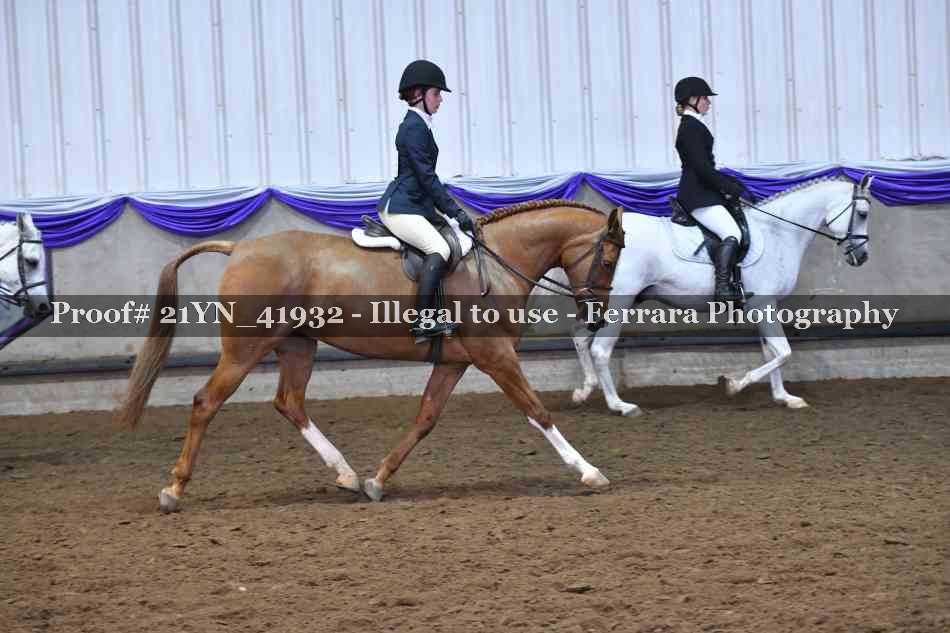 Proof 21YN_41932