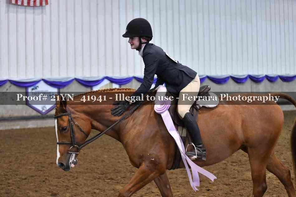 Proof 21YN_41941
