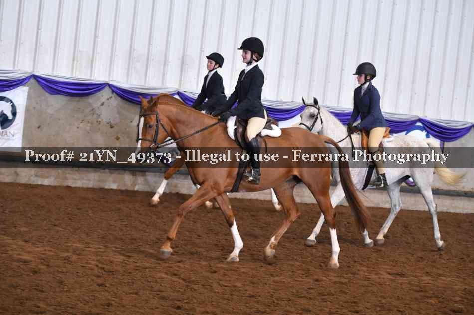 Proof 21YN_49373