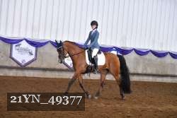 21YN_49377 proof