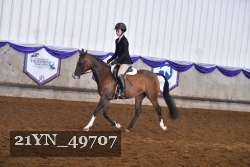 21YN_49707 proof