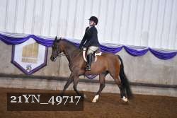 21YN_49717 proof