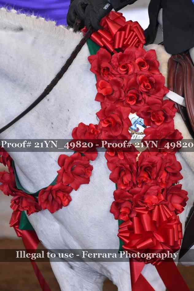 Proof 21YN_49820