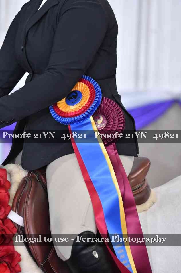 Proof 21YN_49821