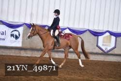21YN_49871 proof