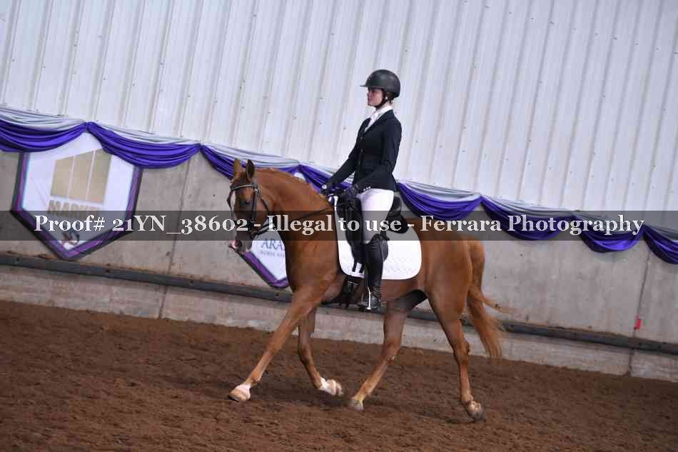 Proof 21YN_38602