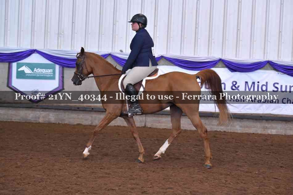 Proof 21YN_40344