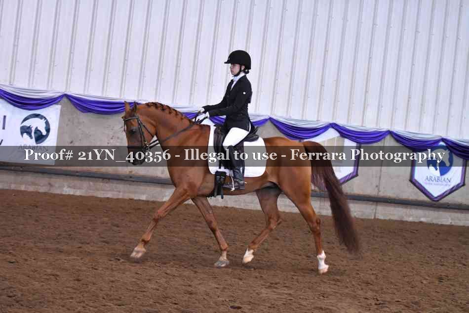 Proof 21YN_40356