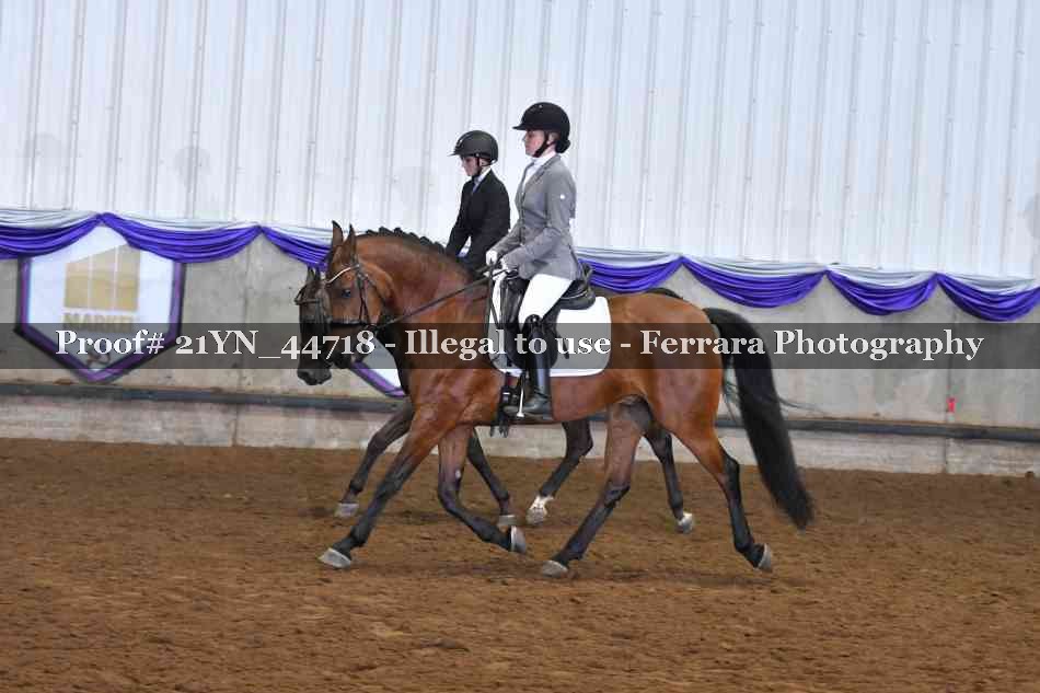 Proof 21YN_44718