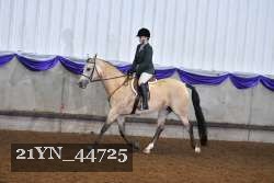 21YN_44725 proof