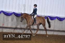 21YN_44727 proof