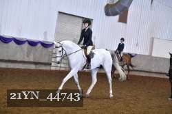 21YN_44743 proof