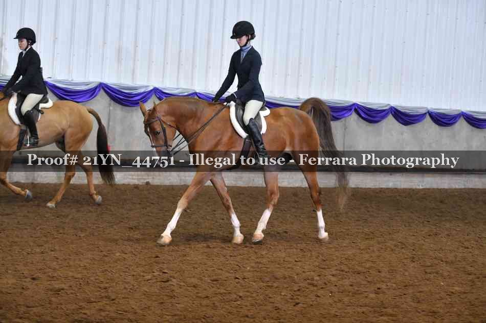 Proof 21YN_44751
