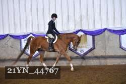 21YN_44767 proof
