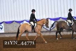 21YN_44771 proof