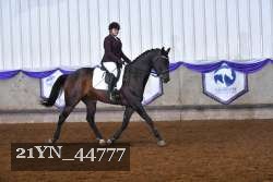 21YN_44777 proof