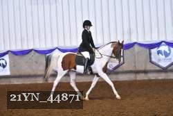 21YN_44871 proof