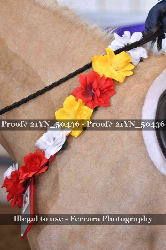 Proof 21YN_50436
