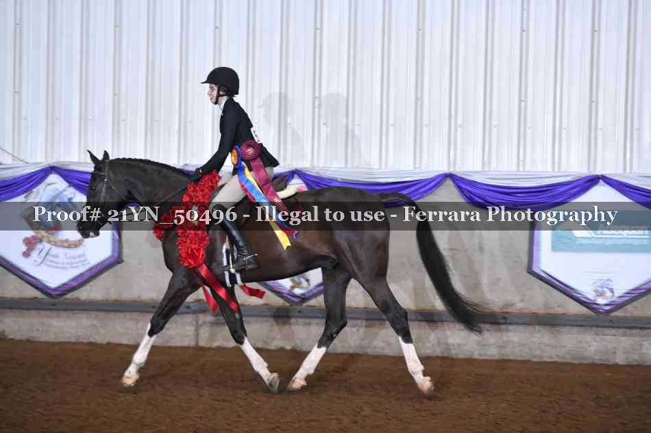 Proof 21YN_50496