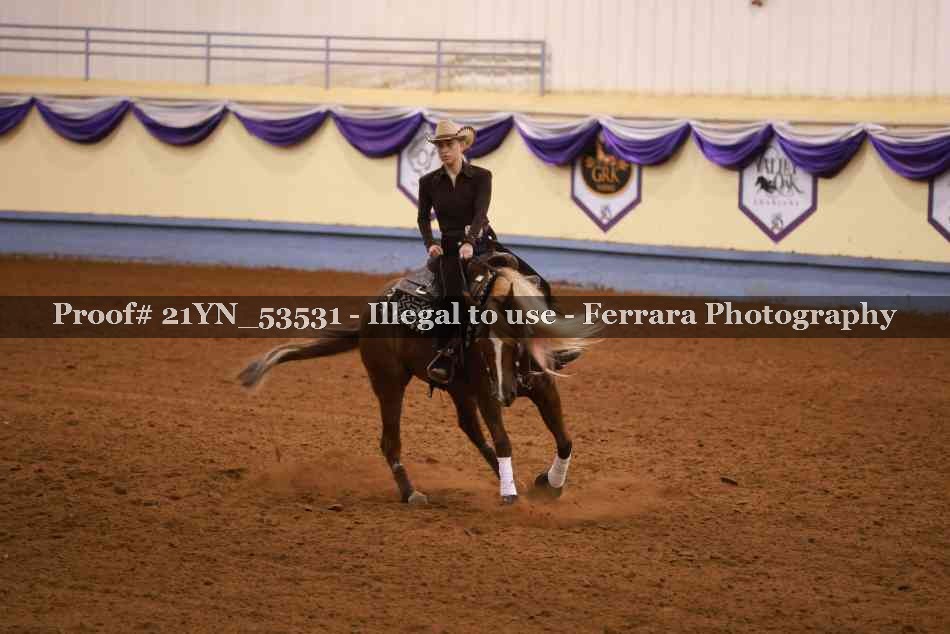 Proof 21YN_53531