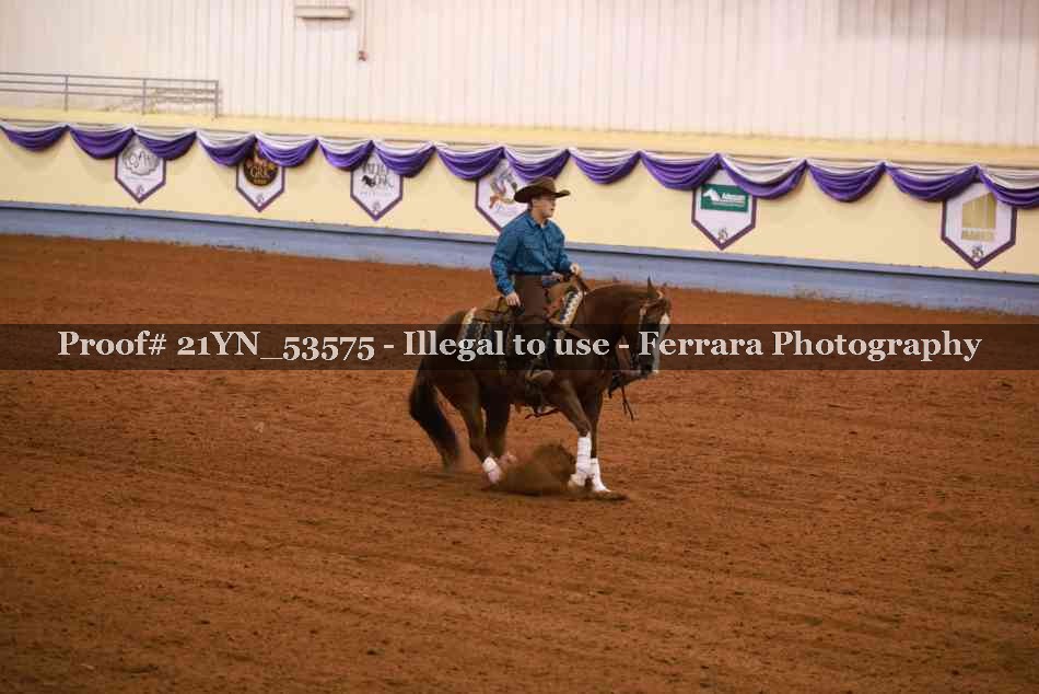 Proof 21YN_53575