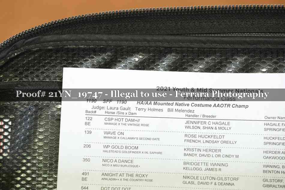 Proof 21YN_19747