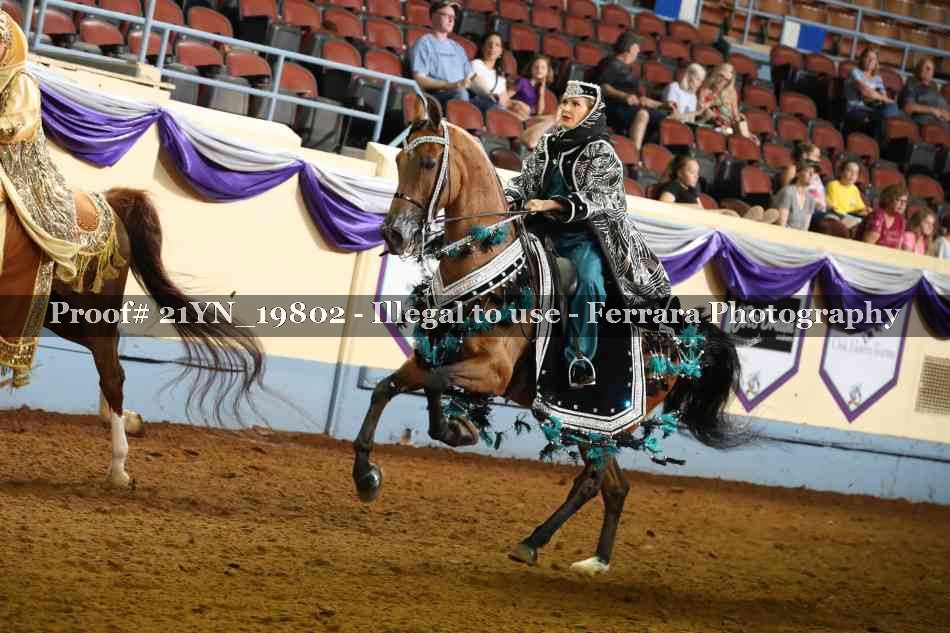 Proof 21YN_19802