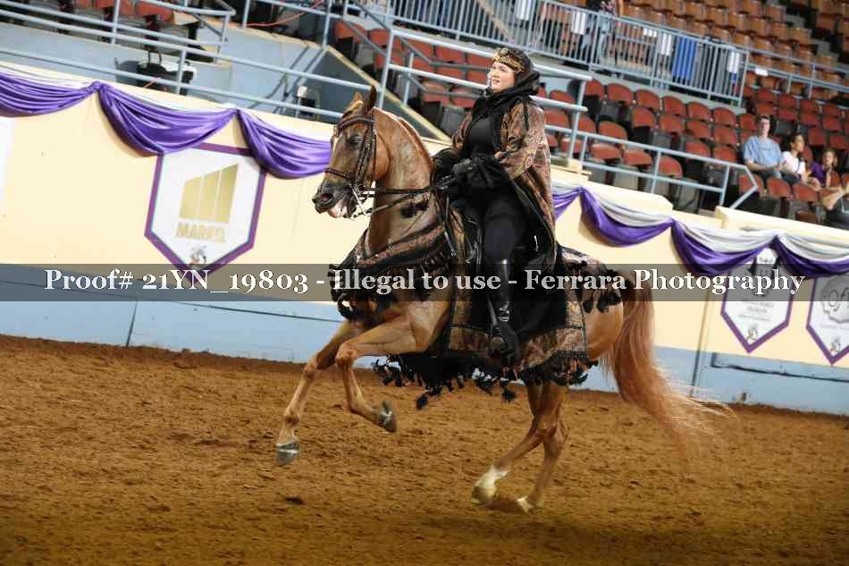 Proof 21YN_19803