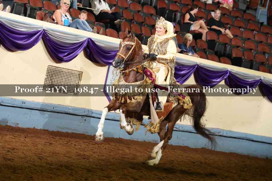 Proof 21YN_19847