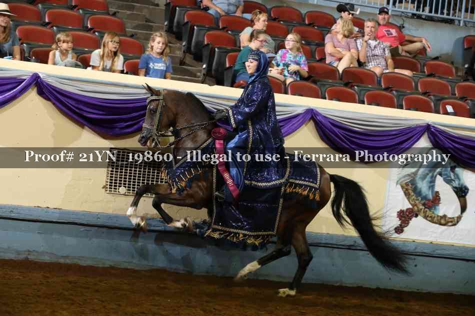 Proof 21YN_19860