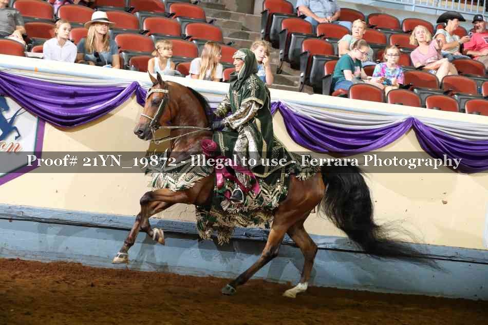 Proof 21YN_19872