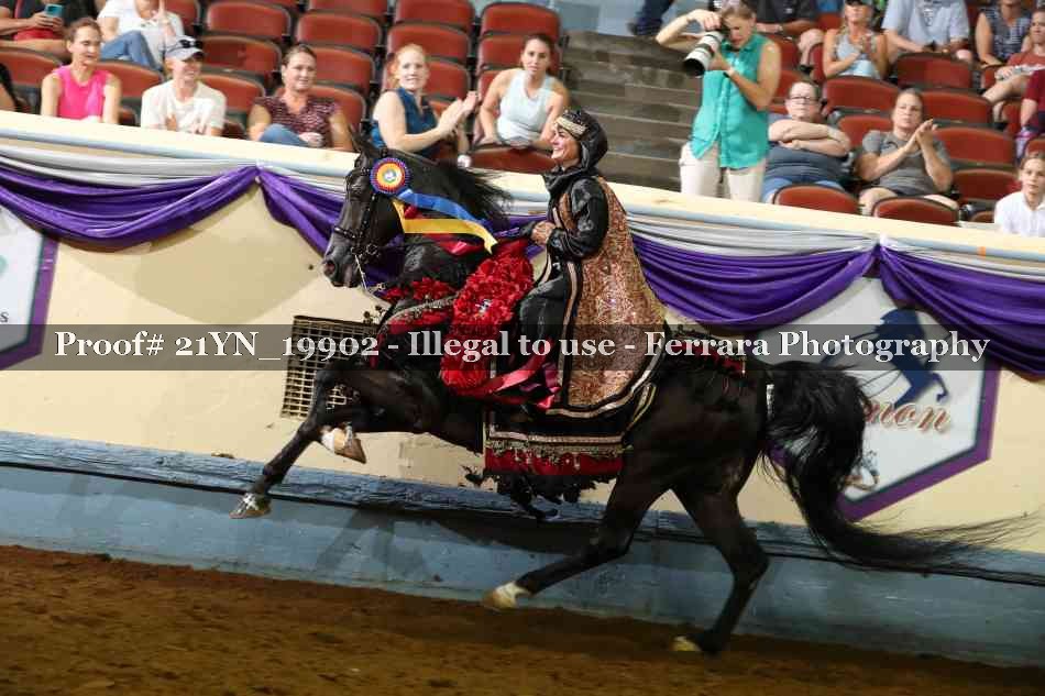 Proof 21YN_19902