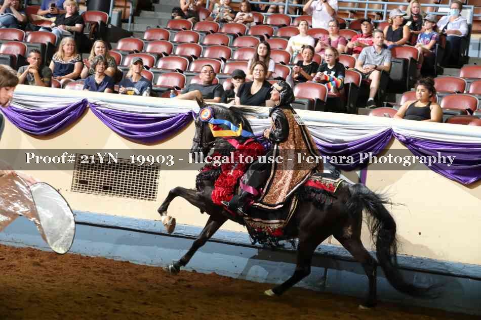 Proof 21YN_19903
