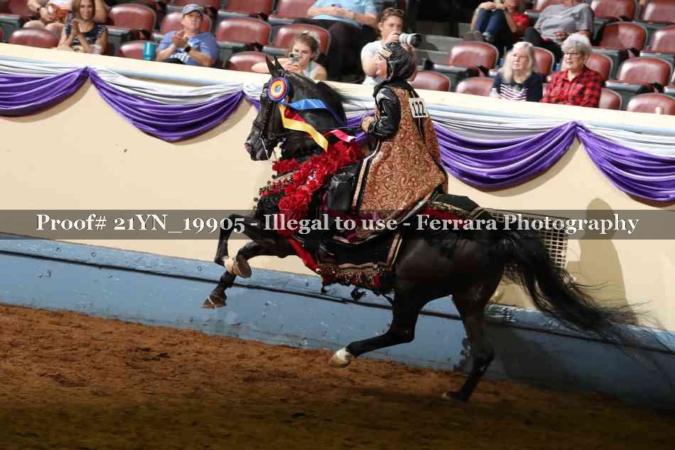 Proof 21YN_19905