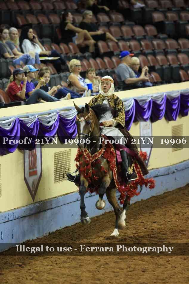 Proof 21YN_19906