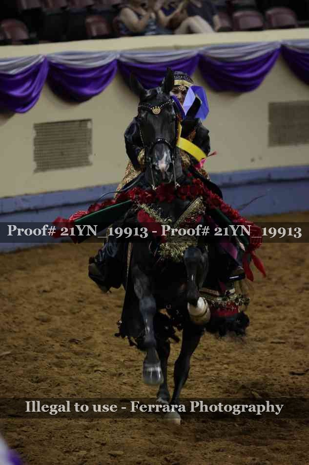 Proof 21YN_19913
