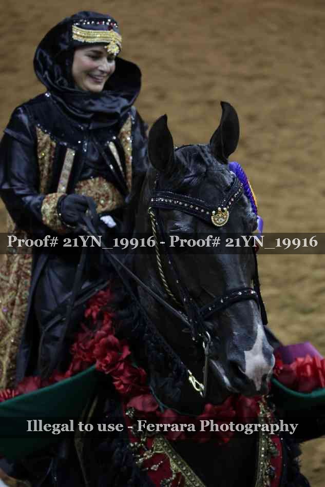 Proof 21YN_19916