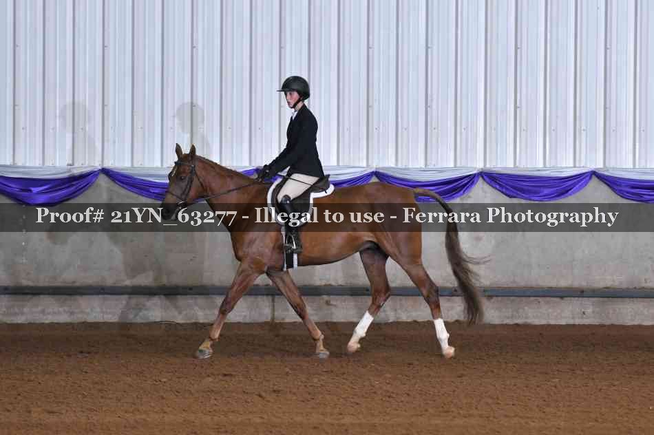 Proof 21YN_63277