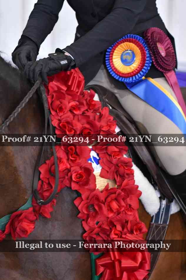 Proof 21YN_63294