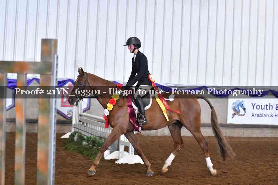 Proof 21YN_63301