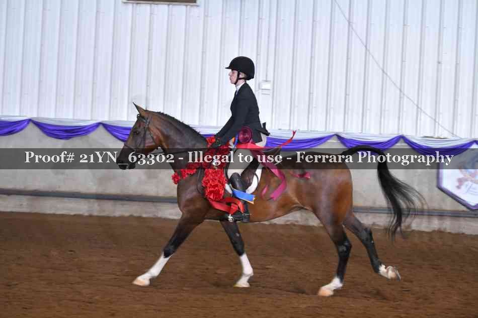 Proof 21YN_63302